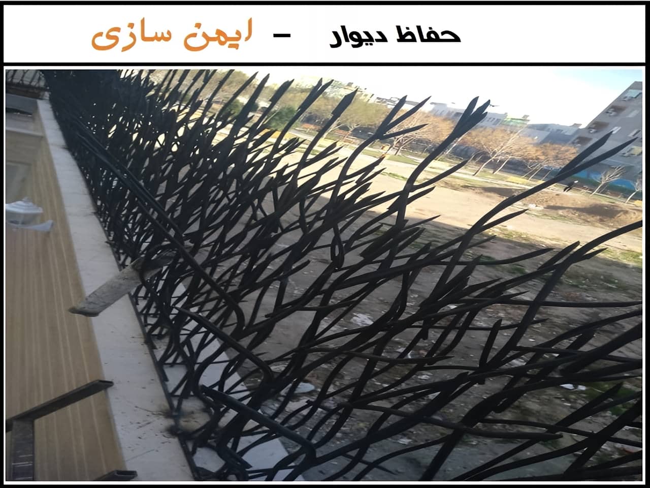 قیمت حفاظ شاخ گوزنی چقدر است؟
