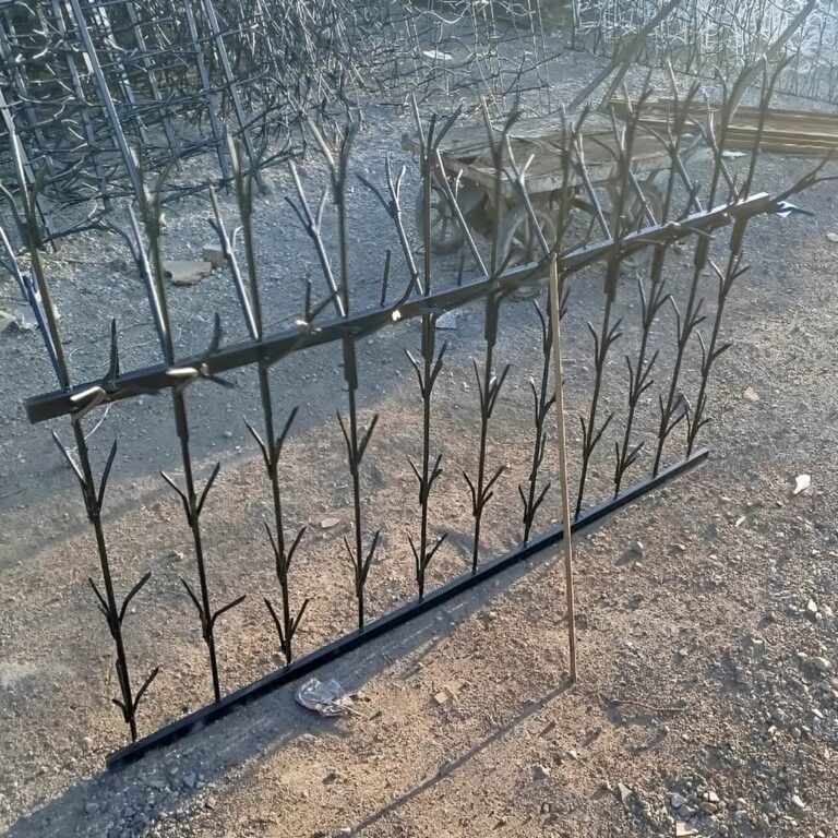 حفاظ شمشادی