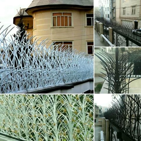 fence-wall-protection-deer-antler-spear-ke راهنمای خرید حفاظ شاخ گوزنی