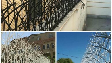 حفاظ شاخ گوزنی دیوار ساختمان در ایرانشهر