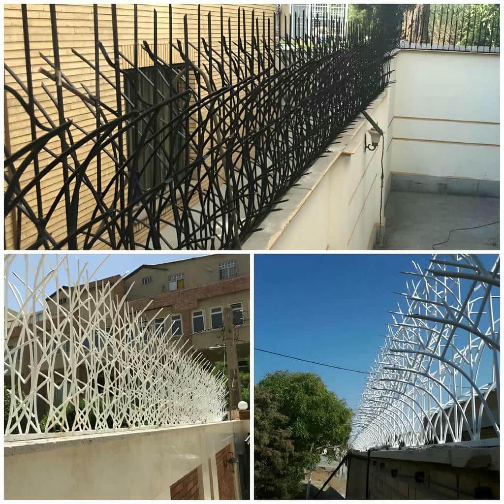 حفاظ شاخ گوزنی دیوار ساختمان در ایرانشهر