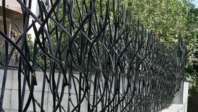 حفاظ شاخ گوزنی دیوار ساختمان در طالقان