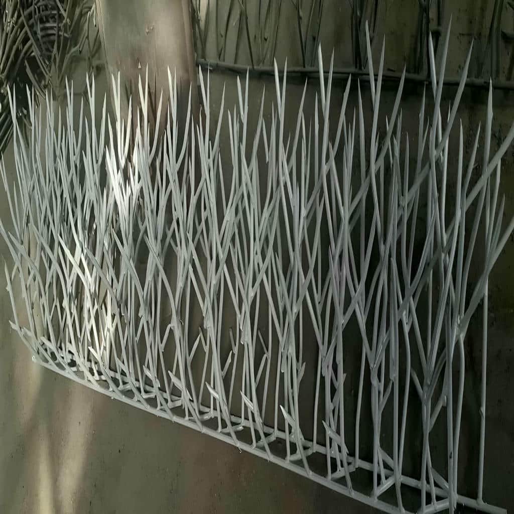 کارخانه حفاظ شاخ گوزنی دیوار ساختمان اتصال تقویت شده در ایرانشهر