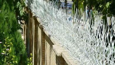 حفاظ شاخ گوزنی دیوار ساختمان در اصفهان