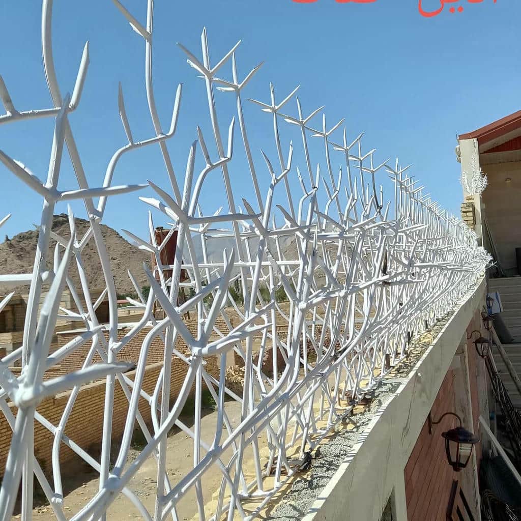 کارخانه حفاظ شاخ گوزنی دیوار ساختمان شاخه درهم در ساری