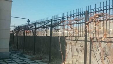 حفاظ شاخ گوزنی دیوار ساختمان در سیرجان