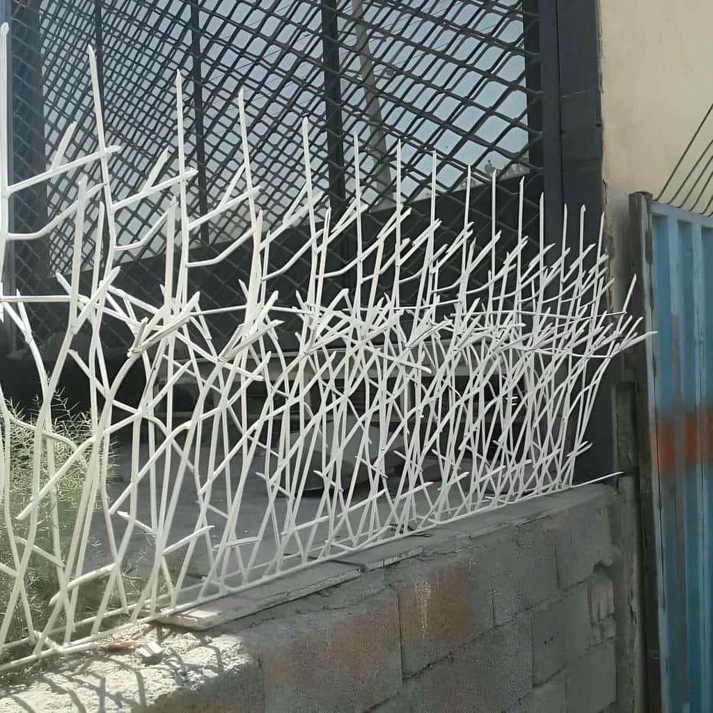 قیمت حفاظ شاخ گوزنی دیوار ساختمان جوش یکنواخت در محمودآباد