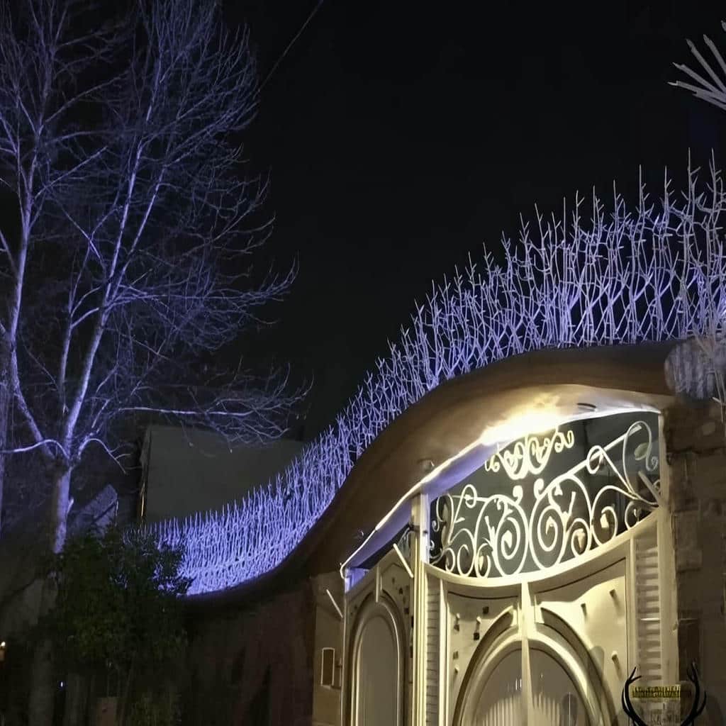 قیمت حفاظ شاخ گوزنی دیوار ساختمان شاخه بندی درهم در یاسوج