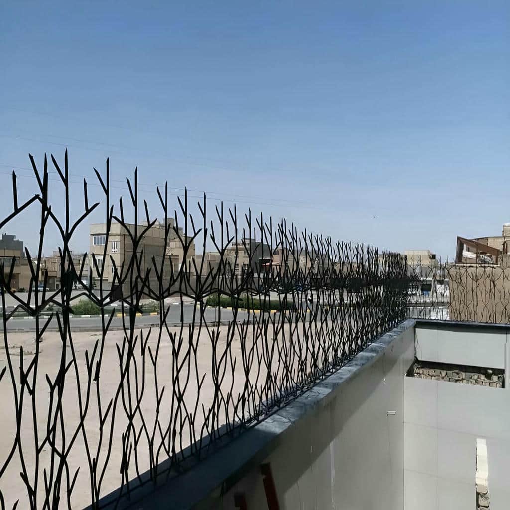 کارخانه حفاظ شاخ گوزنی دیوار ساختمان شاخه منظم در بندر بوشهر
