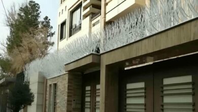 حفاظ شاخ گوزنی دیوار ساختمان در نسیم شهر