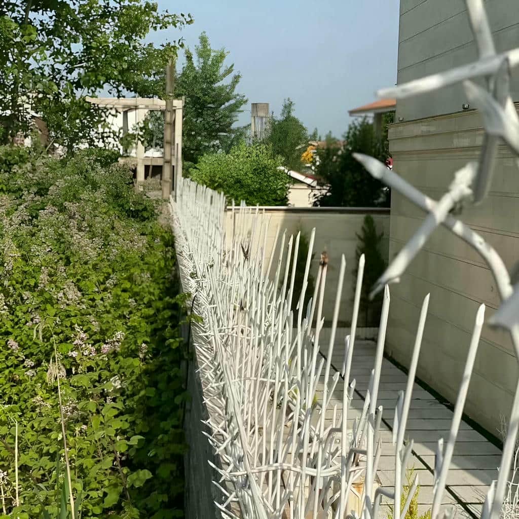 کارخانه حفاظ شاخ گوزنی دیوار ساختمان شاخه درهم در استان گلستان