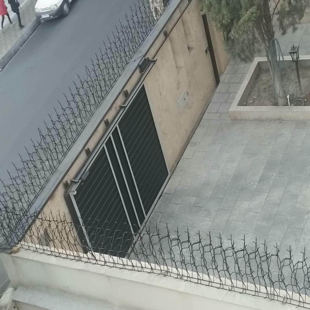 قیمت حفاظ شاخ گوزنی دیوار ساختمان رنگ مقاوم در کمال شهر