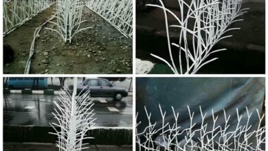 حفاظ شاخ گوزنی دیوار ساختمان در اندیشه