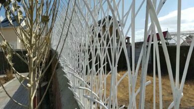 حفاظ شاخ گوزنی دیوار ساختمان در کرمانشاه