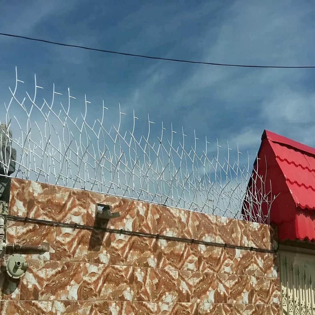 کارخانه حفاظ شاخ گوزنی دیوار ساختمان اتصال آببندی شده در سقز
