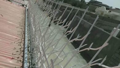 حفاظ شاخ گوزنی دیوار ساختمان در شهریار