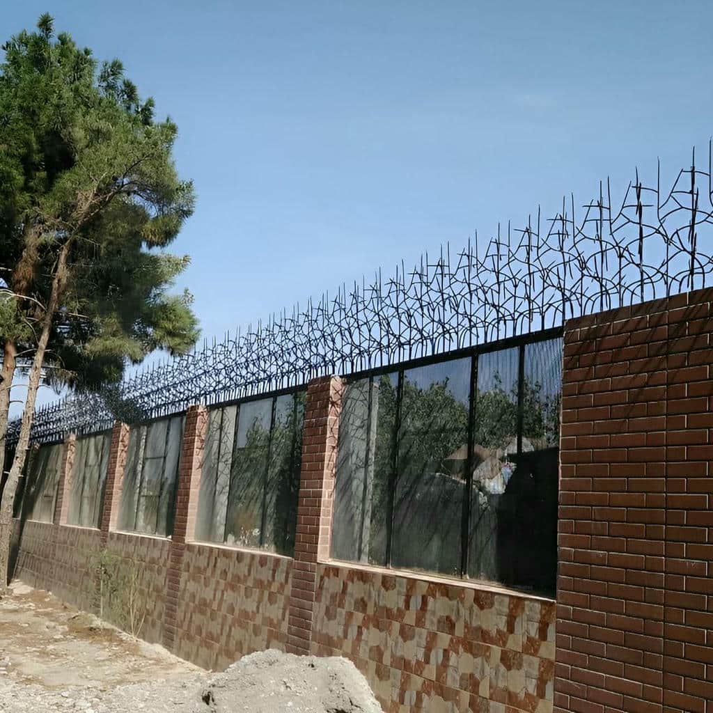 حفاظ شاخ گوزنی دیوار ساختمان در بجنورد