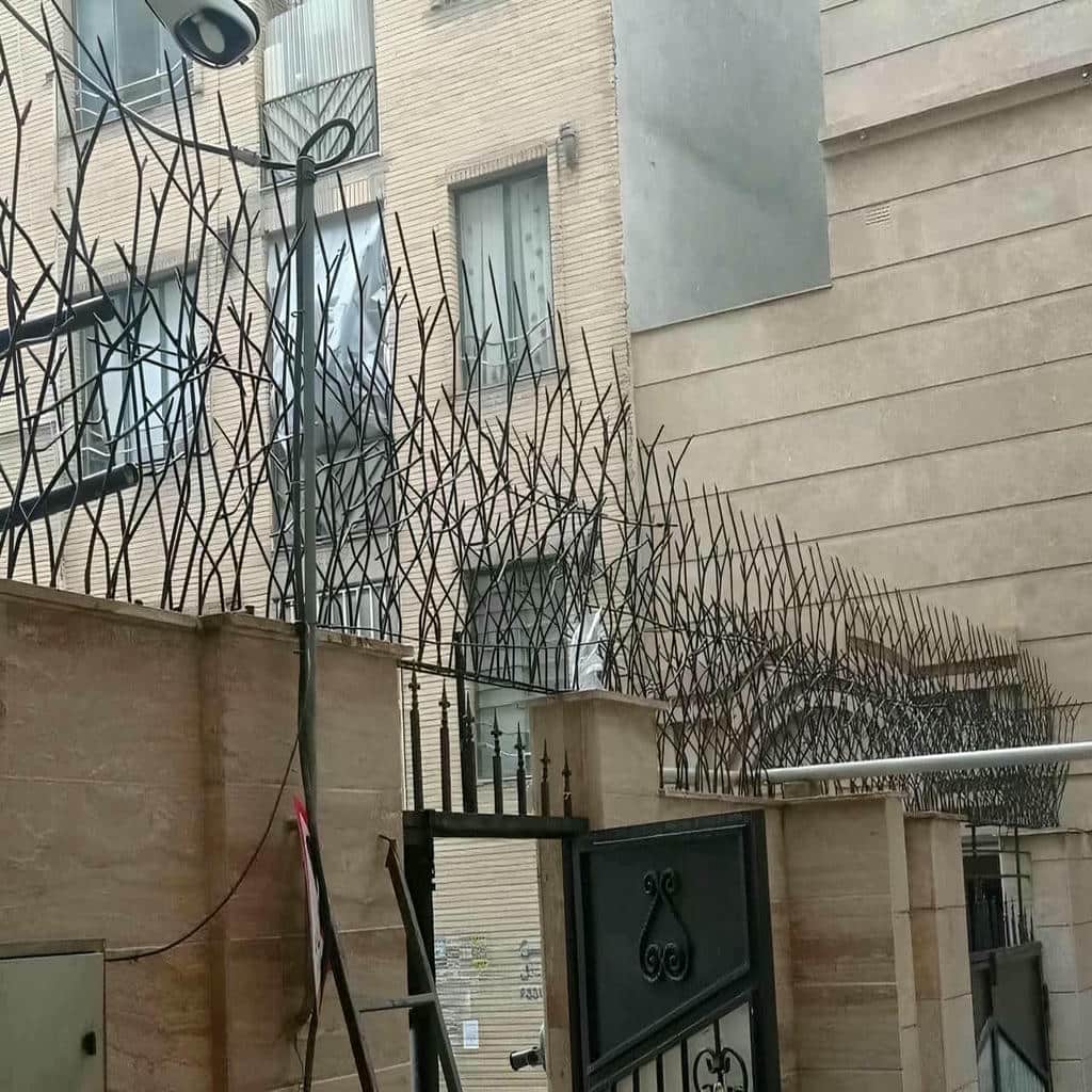 قیمت حفاظ شاخ گوزنی دیوار ساختمان نوک تیز در فردیس کرج