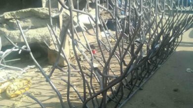 حفاظ شاخ گوزنی دیوار ساختمان در نیشابور