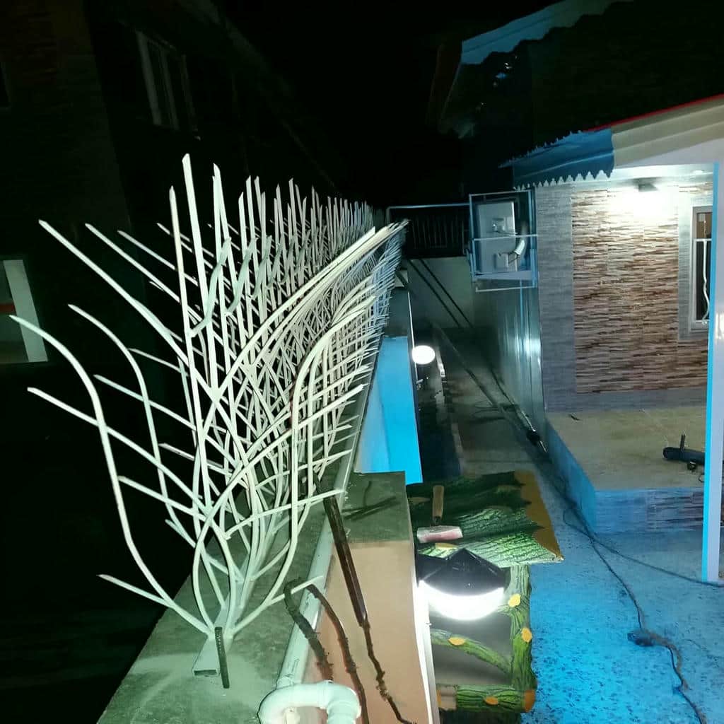 حفاظ شاخ گوزنی دیوار ساختمان در آبادان