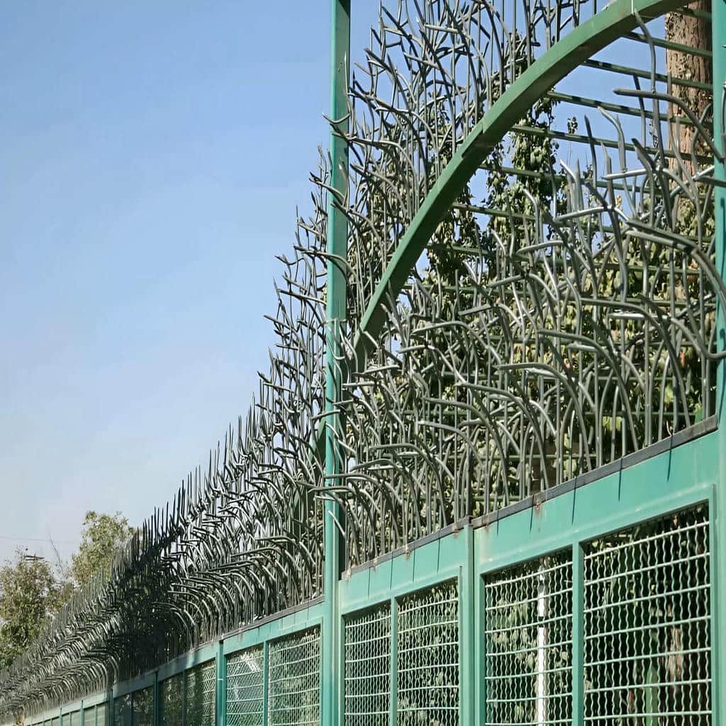 حفاظ شاخ گوزنی دیوار ساختمان در گرگان