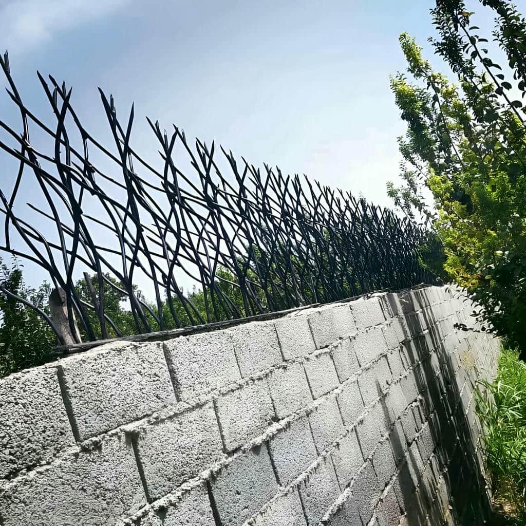 قیمت حفاظ شاخ گوزنی دیوار ساختمان شاخه فشرده در مریوان