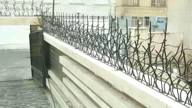 حفاظ شاخ گوزنی دیوار ساختمان در کردان