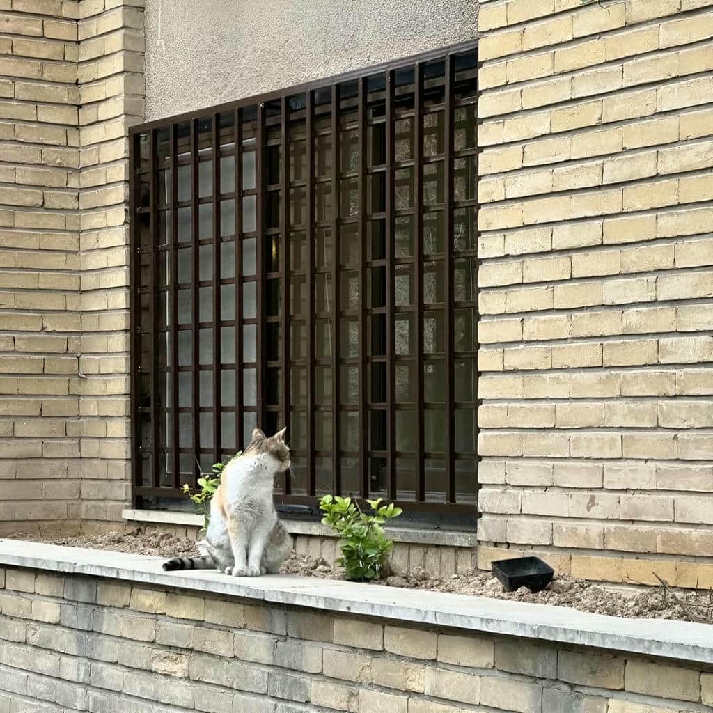 قیمت حفاظ پنجره فرفورژه در بندرعباس