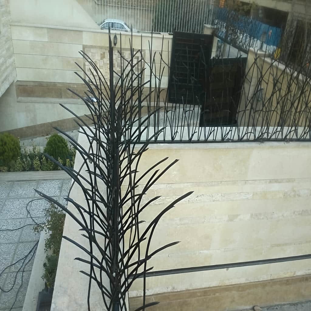 خدمات نصب حفاظ نیزار برای دیوار باغ