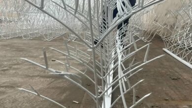 حفاظ شاخ گوزنی طرح f فلزی روی دیوار ساختمان