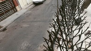 حفاظ بوته ای فلزی ساختمان قدیمی